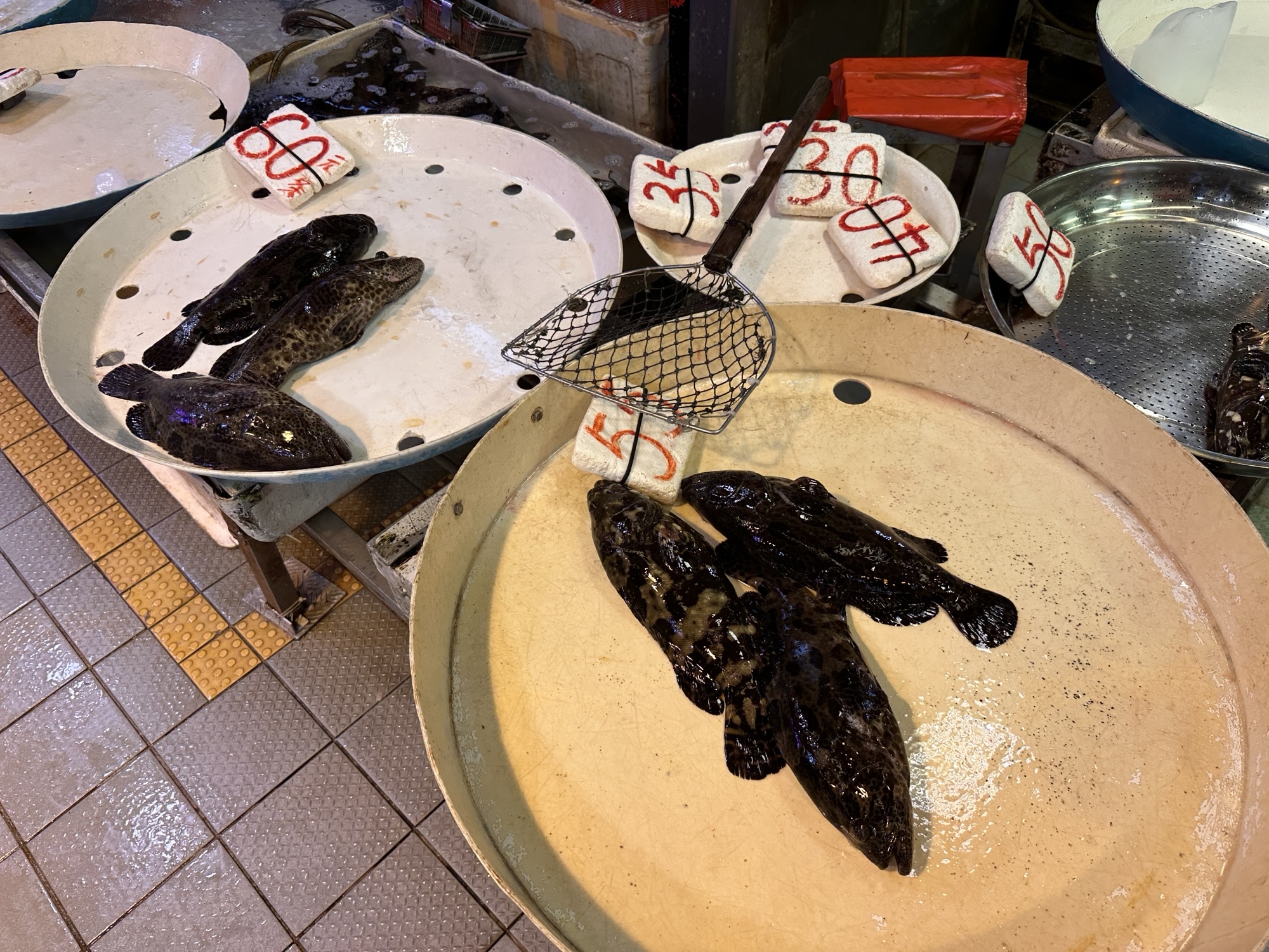 Tsuen Wan wet market
